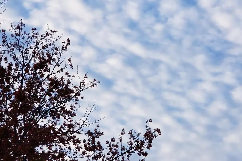 NJ weather for the next four days: Seasonable, mild, cooler, cold