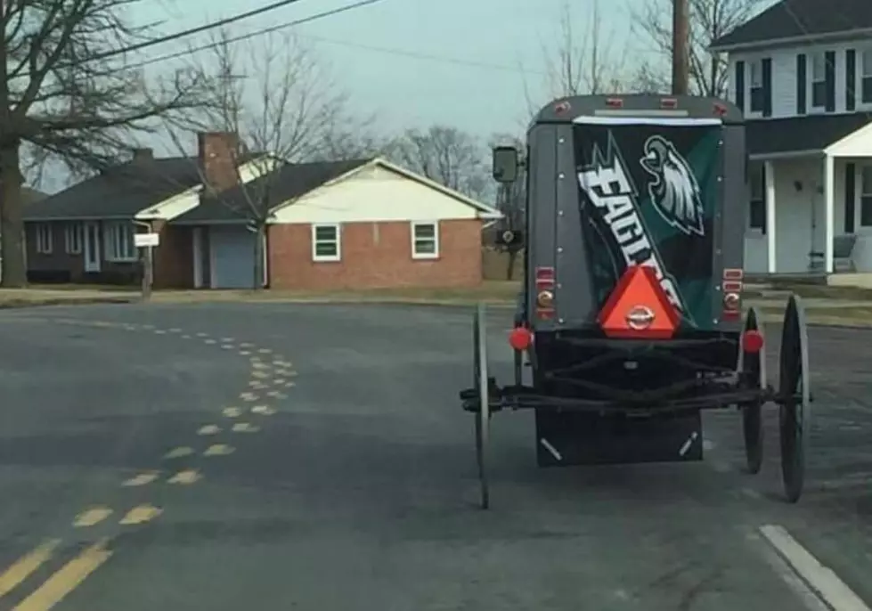 Amish Buggy Shows Off Philadelphia Eagles Pride