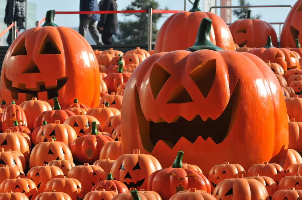 Doylestown’s Pumpkinfest Is This Weekend