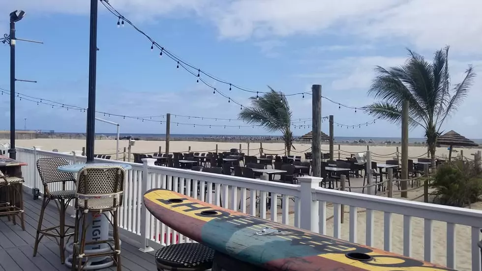 Bring Your Dog for Happy Hour at Jenks Inlet Bar in Pt. Pleasant
