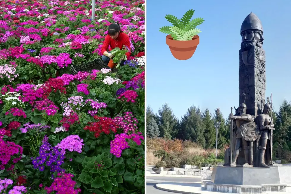 Grounds For Sculpture In Hamilton, NJ Will Help You Start Your Plant Collection For Spring