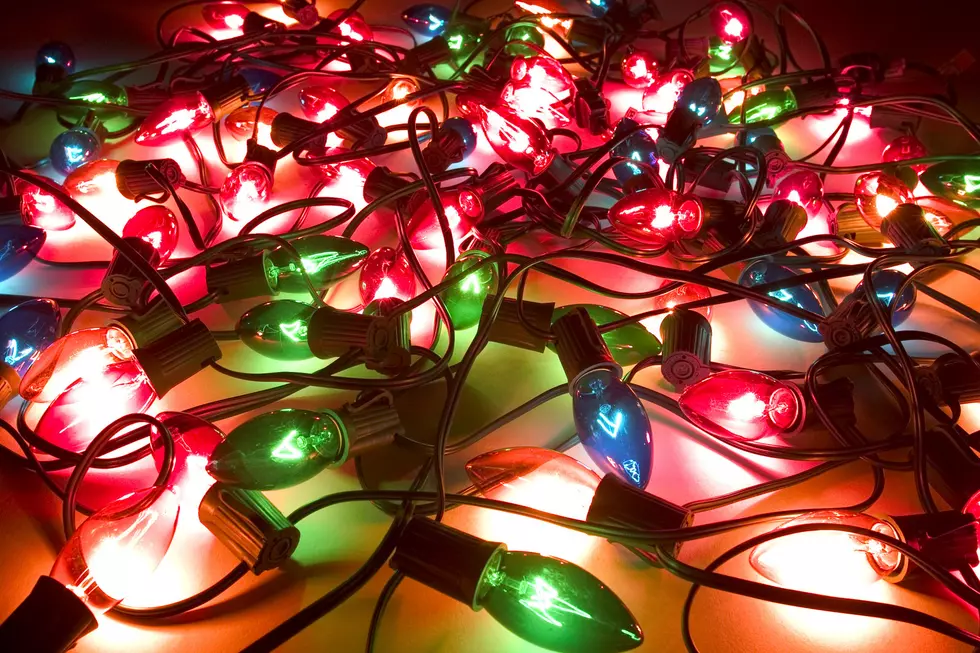 Festive Holiday Drive-In Movies at Charlann Farms in Yardley, PA