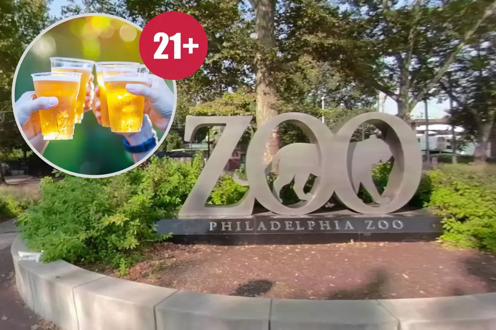 Grrr-ab Your Friends! The Philadelphia Zoo Summer Ale Fest Returns June 24!