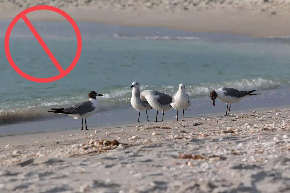 New Jersey Beachgoers Need To Quit This Annoying Habit