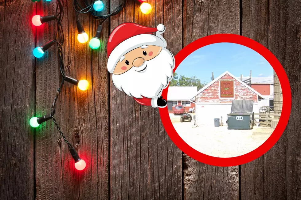 Holland Ridge Farms in Cream Ridge, NJ To Host New Winter Wonderland