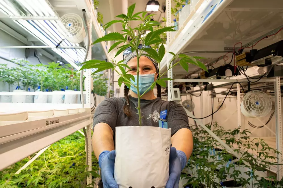 Hamilton Township, NJ Has A New Cannabis Dispensary; Here’s where it is