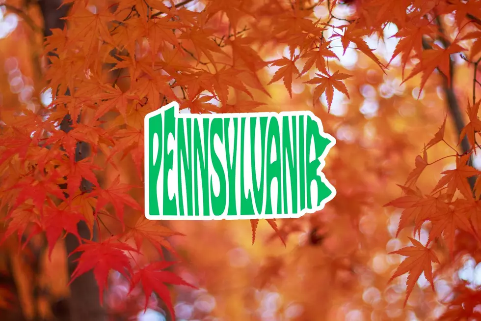 Here’s When Pennsylvania Will Hit Peak Fall Colors This Year