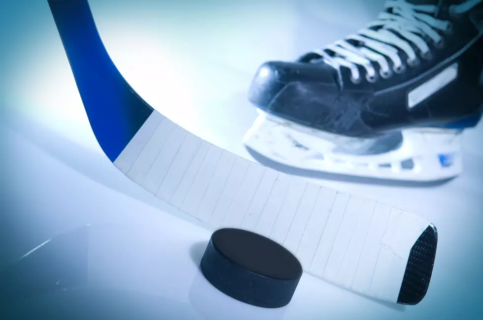 New Trenton, NJ Hockey Team To Reveal Name & Hosting Fan Fest For Public