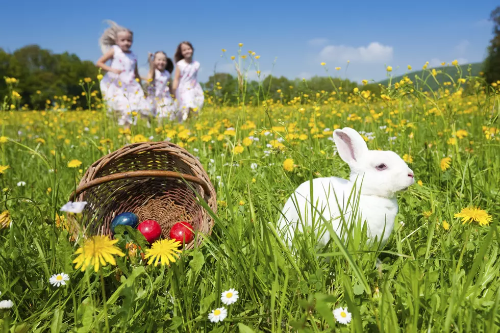 Egg Hunts for Kids & Adults at Needle Creek Farm Brewery in Pennington, NJ