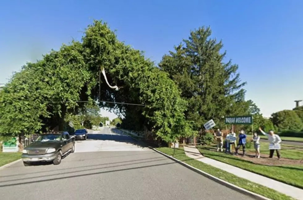 Sculpture Missing at Grounds for Sculpture in Hamilton Township, NJ
